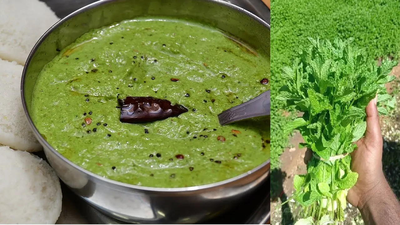 அடுப்புல இருந்து இறக்குன பிறகு தேங்காய் போடுங்க: ஹோட்டல் ஸ்டைல் புதினா சட்னி சீக்ரெட்