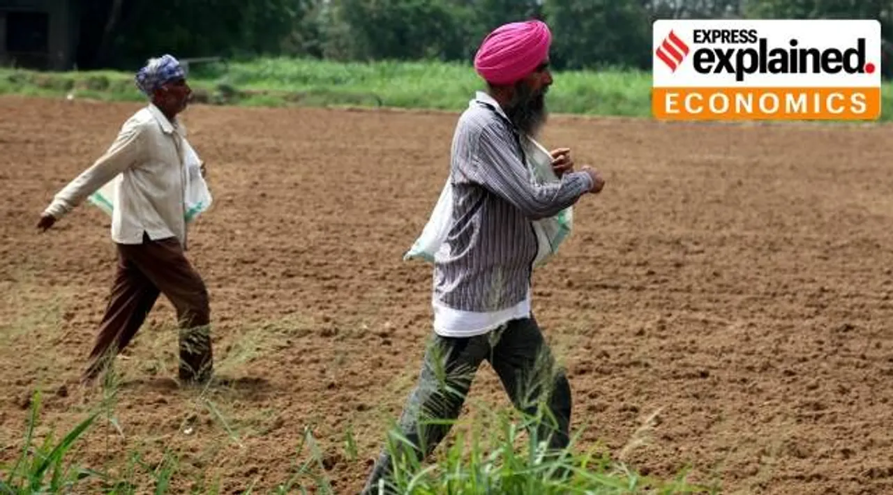 Why urea rules Indias farms