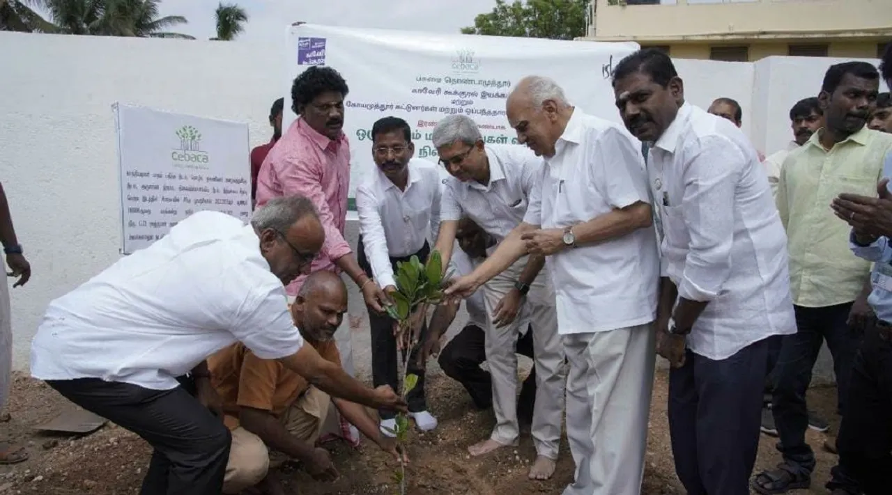 Kovai tree plantation
