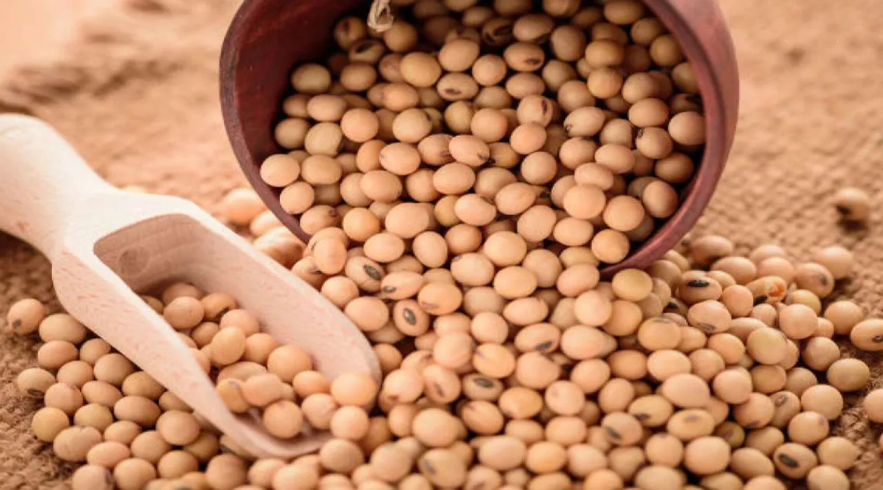 Soya beans