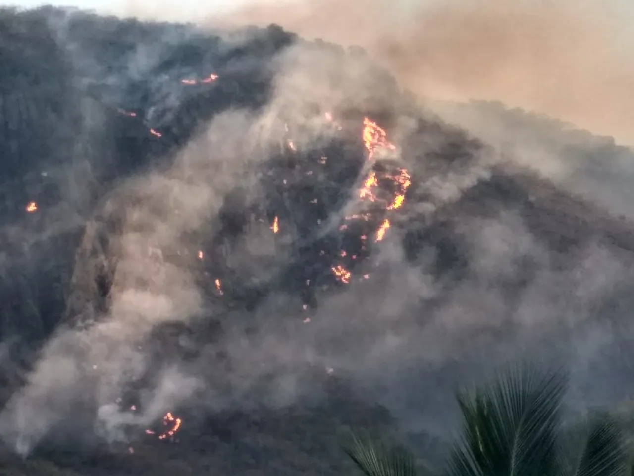 forest fire