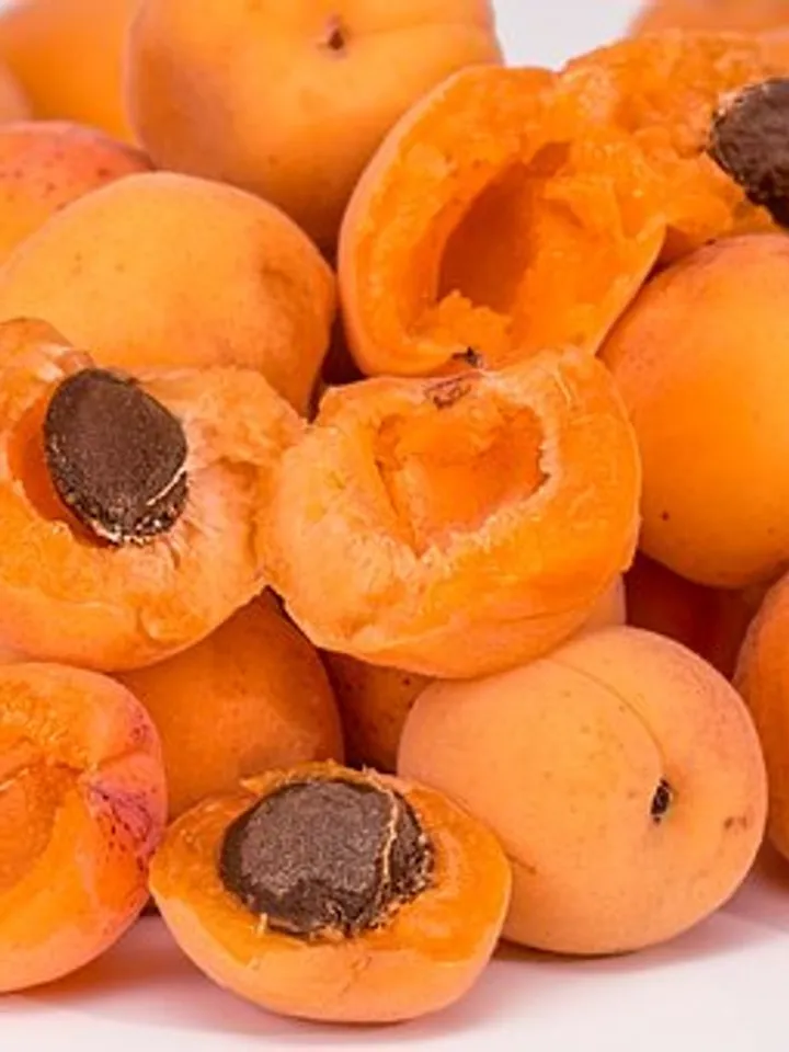 apricots-2994801__340 (1)