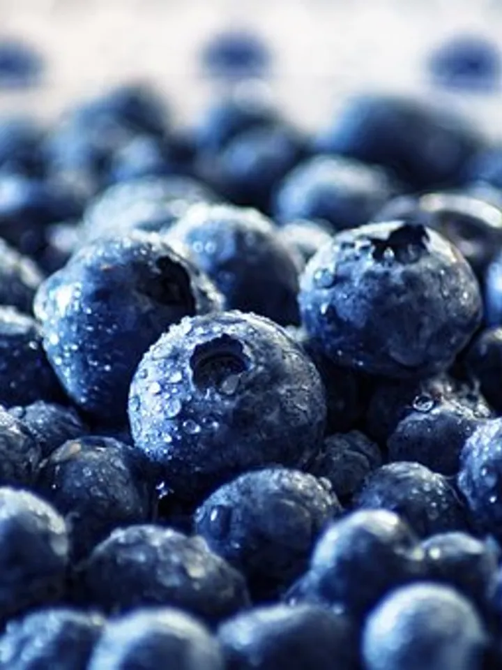 blueberries-3460423__340 (1)