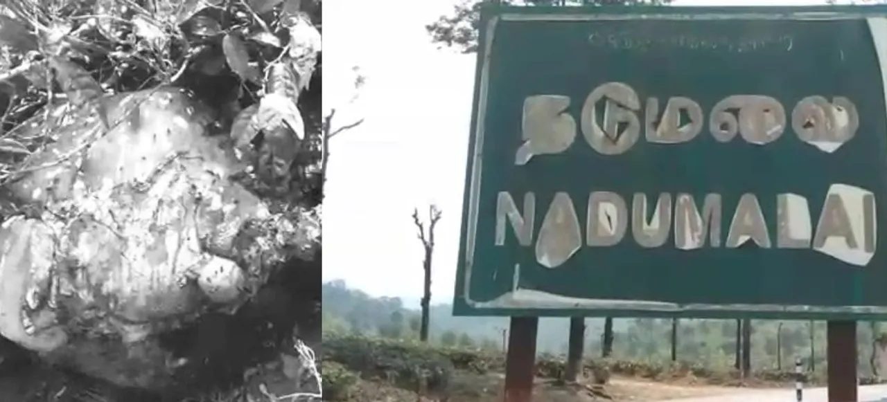 Valparai