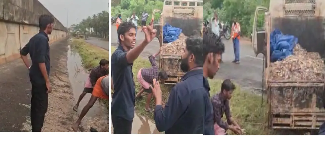 கோழிக் கழிவுகள்