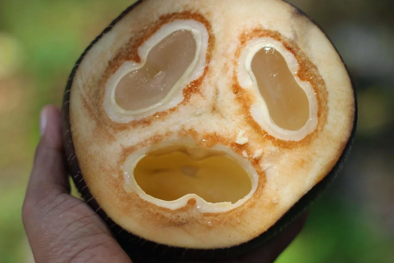நுங்கு