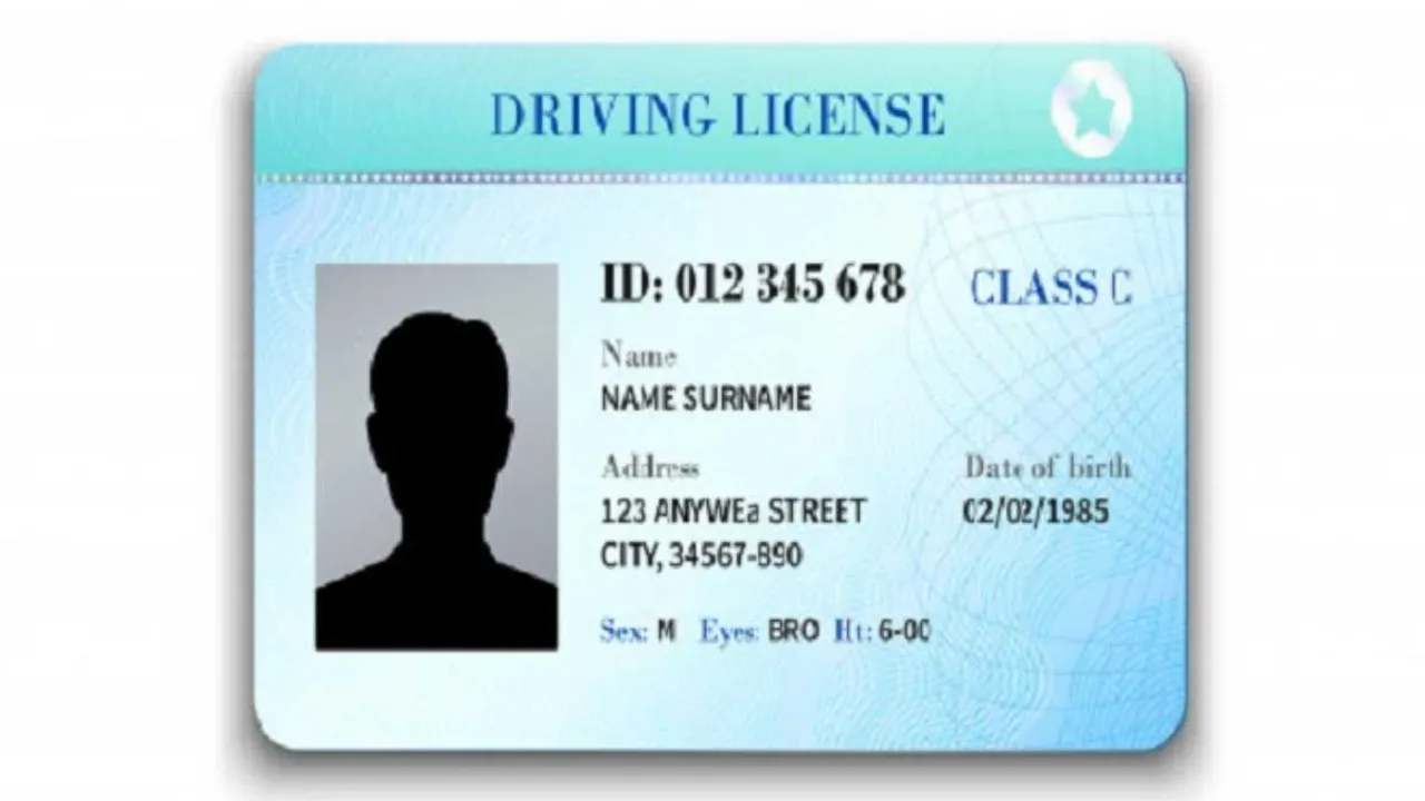 how to apply for a driving license online