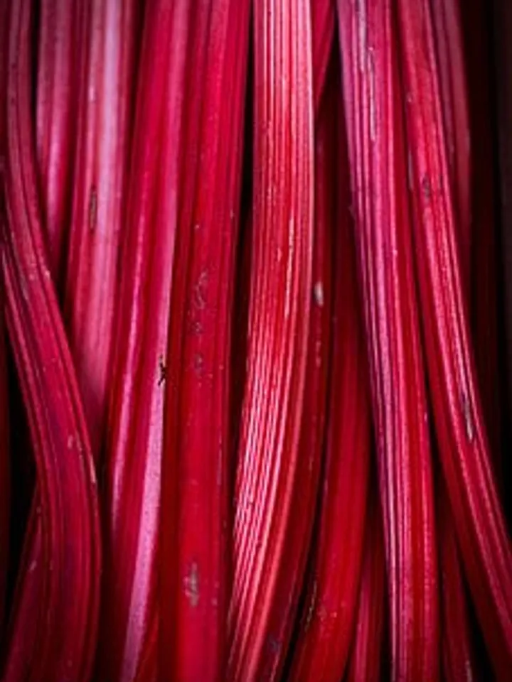 rhubarb-839618__340 (1)