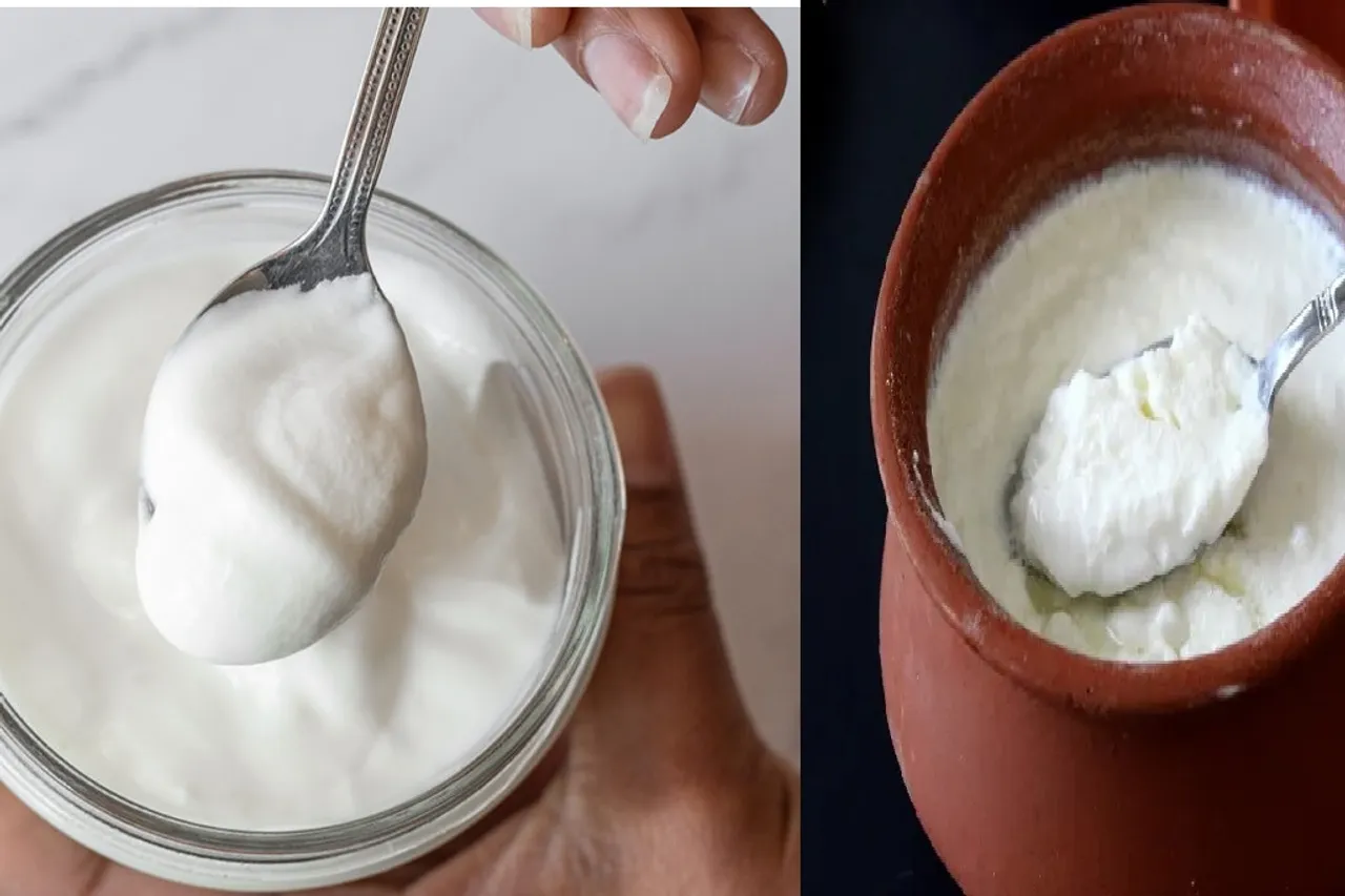 curd