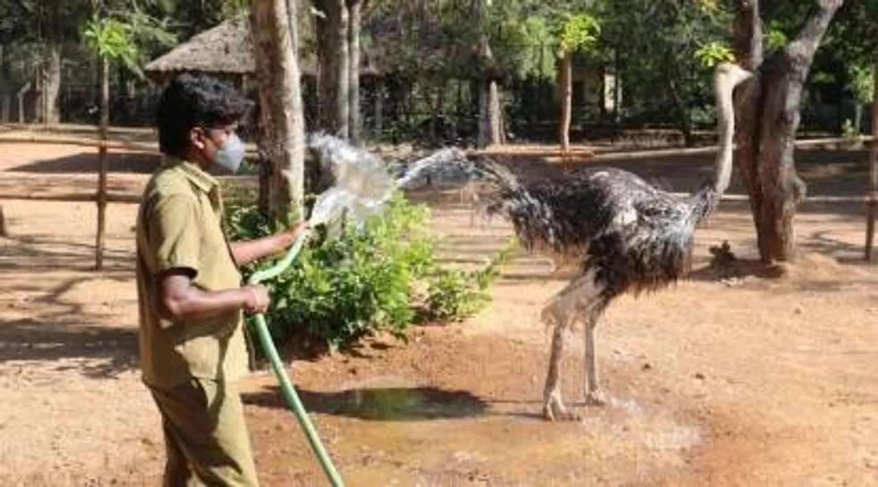 vandalur zoo