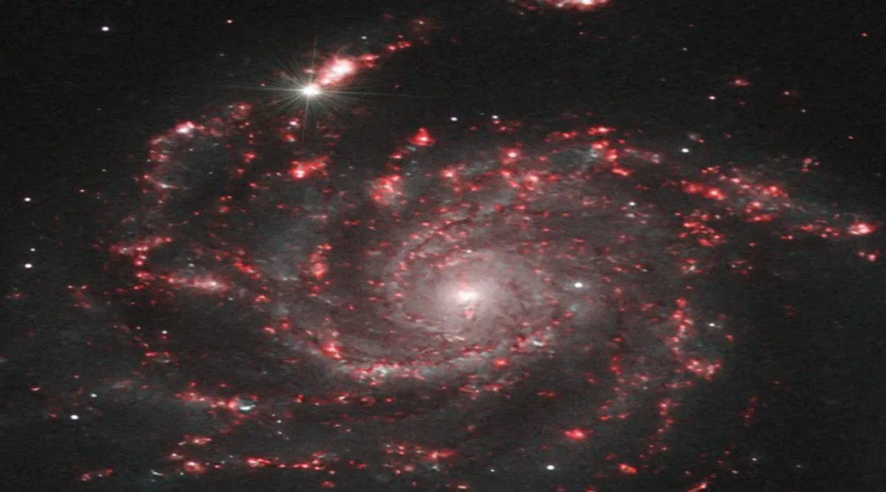 Supernova