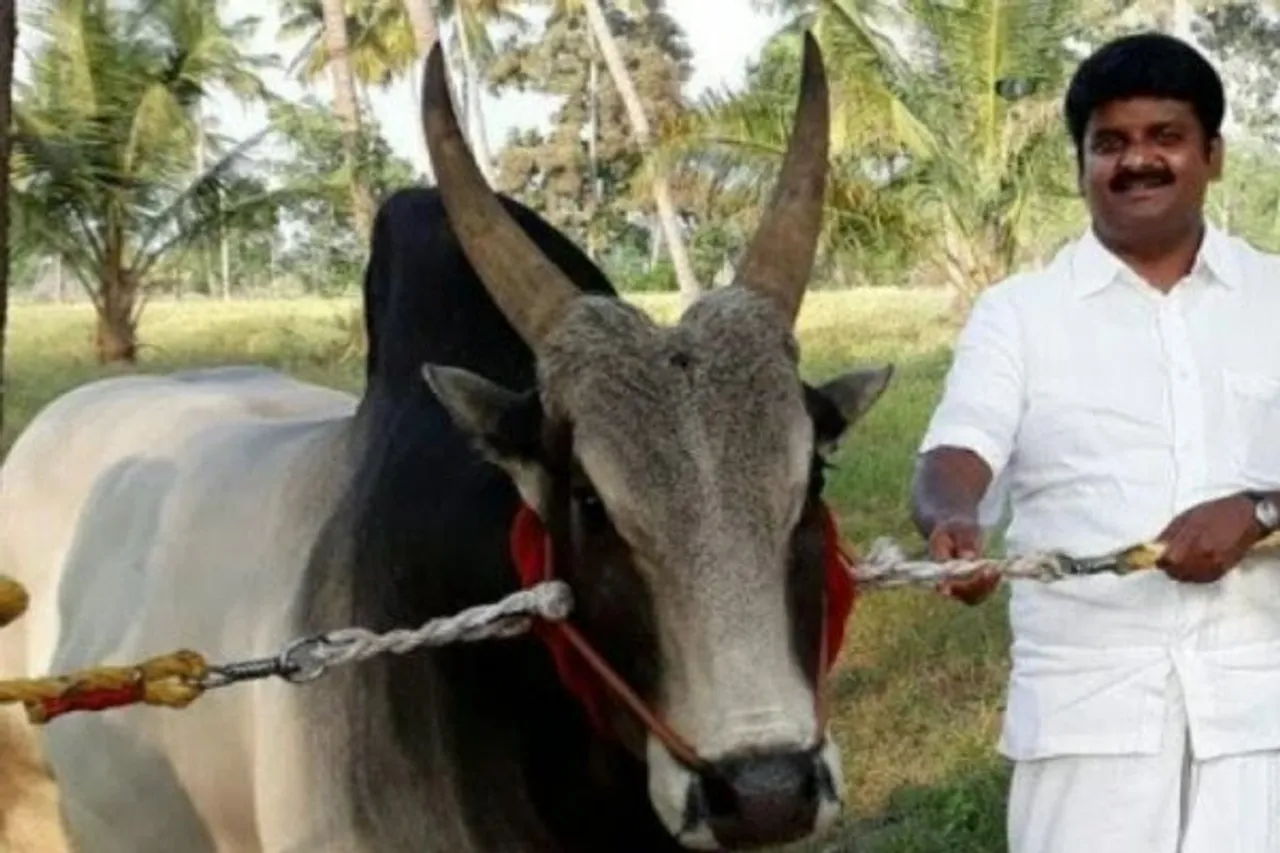 விரக்தியில் முன்னாள் அமைச்சர் விஜயபாஸ்கர்