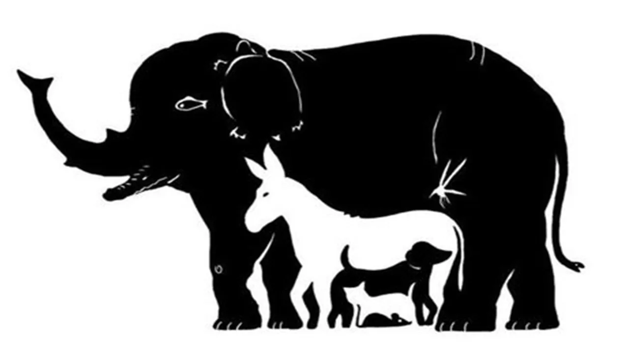 Only highly intelligent people can find all 13 hidden animals in 10 seconds