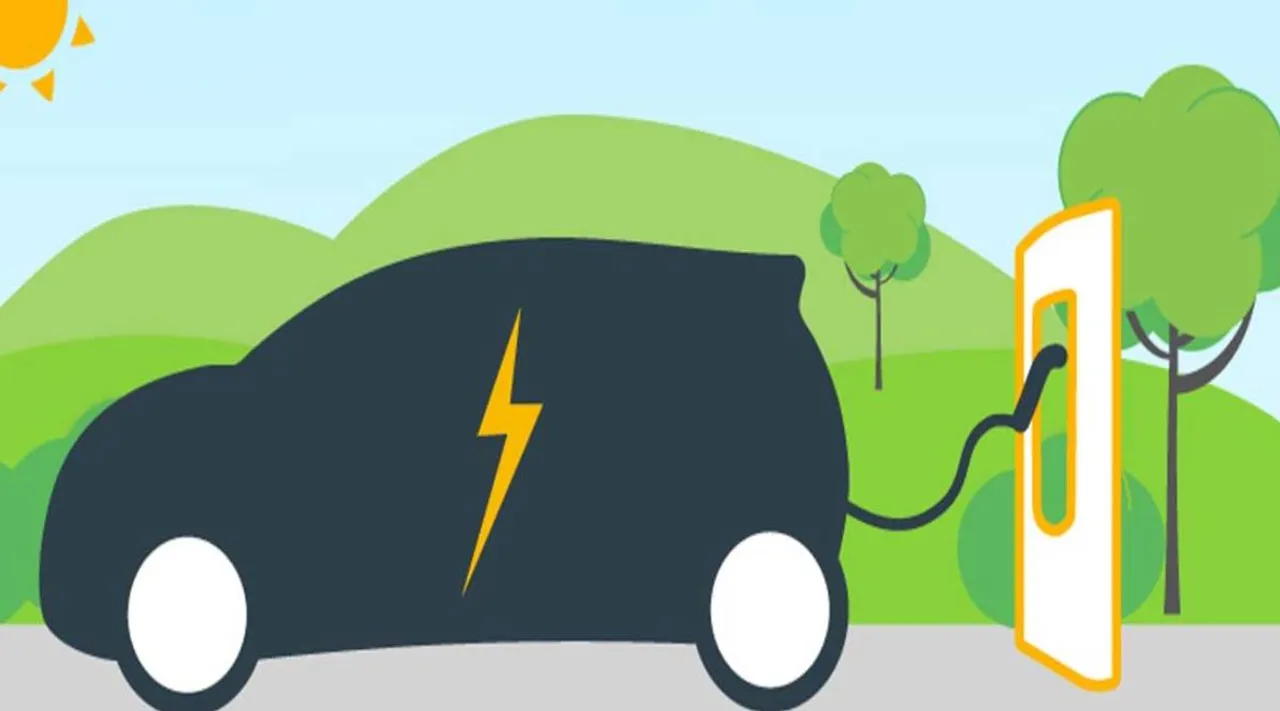 Battery from tree