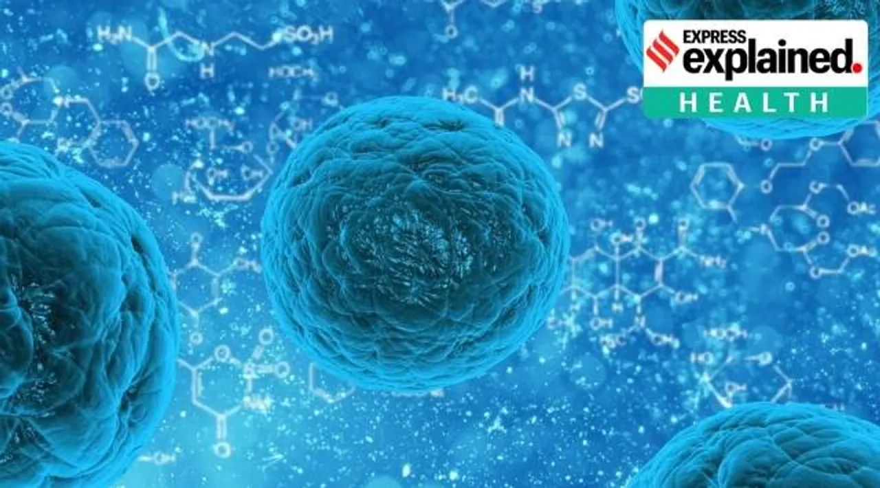 AI to find an antibiotic against a superbug