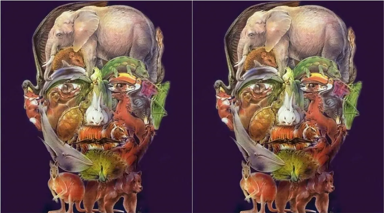 Optical Illusion, Optical Illusion Pictures, Optical Illusion Viral Picture, Optical Illusion Animal Picture, Optical Illusion Viral Photos, ஆப்டிகல் இல்யூஷன், ஆப்டிகல் இல்யூஷன் சவால், ஆப்டிகல் இல்யூஷன் வைரல், ஆப்டிகல் இல்யூஷன் படம், யானையை கண்டுபிடிக்க முடியுமா? அதிபுத்திசாலி, Optical Illusion Latest, about optical illusion,Optical Illusion photos, Optical Illusion pictures, Optical Illusion images