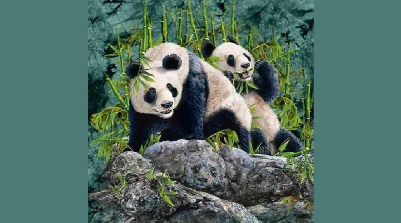 Optical Illusion, Optical Illusion Pictures, Optical Illusion Viral Picture, Optical Illusion Animal Picture, Optical Illusion Viral Photos, ஆப்டிகல் இல்யூஷன், ஆப்டிகல் இல்யூஷன் படம், ஆப்டிகல் இல்யூஷன் சவால், Optical Illusion Latest, about optical illusion,Optical Illusion photos, Optical Illusion pictures, Optical Illusion images