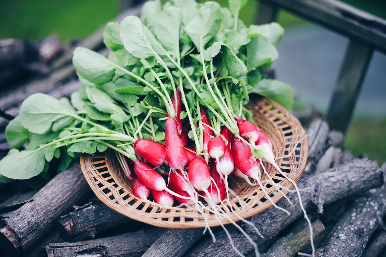 முள்ளங்கி