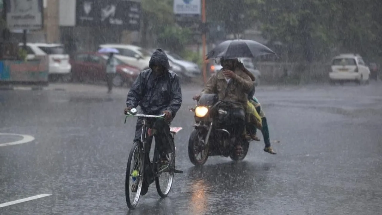 TN rains