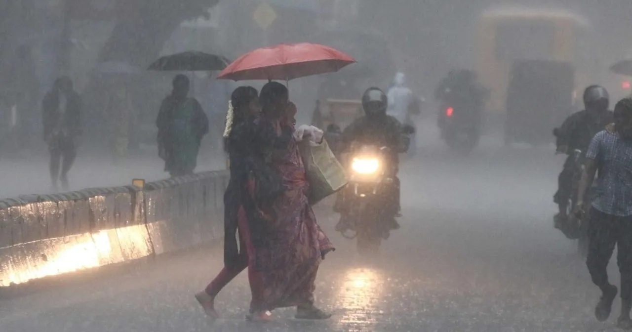 Rain