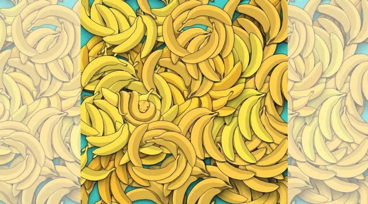 Optical Illusion, Optical Illusion Pictures, Optical Illusion Viral Picture, Optical Illusion Animal Picture, Optical Illusion Viral Photos, ஆப்டிகல் இல்யூஷன், ஆப்டிகல் இல்யூஷன் படம், ஆப்டிகல் இல்யூஷன் சவால், Optical Illusion Latest, about optical illusion,Optical Illusion photos, Optical Illusion pictures, Optical Illusion images