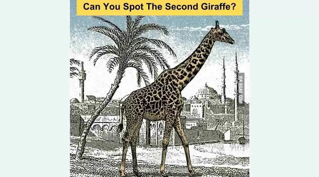 Optical Illusion, Optical Illusion Pictures, Optical Illusion Viral Picture, Optical Illusion Animal Picture, Optical Illusion Viral Photos, ஆப்டிகல் இல்யூஷன், ஆப்டிகல் இல்யூஷன் படம், ஆப்டிகல் இல்யூஷன் சவால், Optical Illusion Latest, about optical illusion,Optical Illusion photos, Optical Illusion pictures, Optical Illusion images