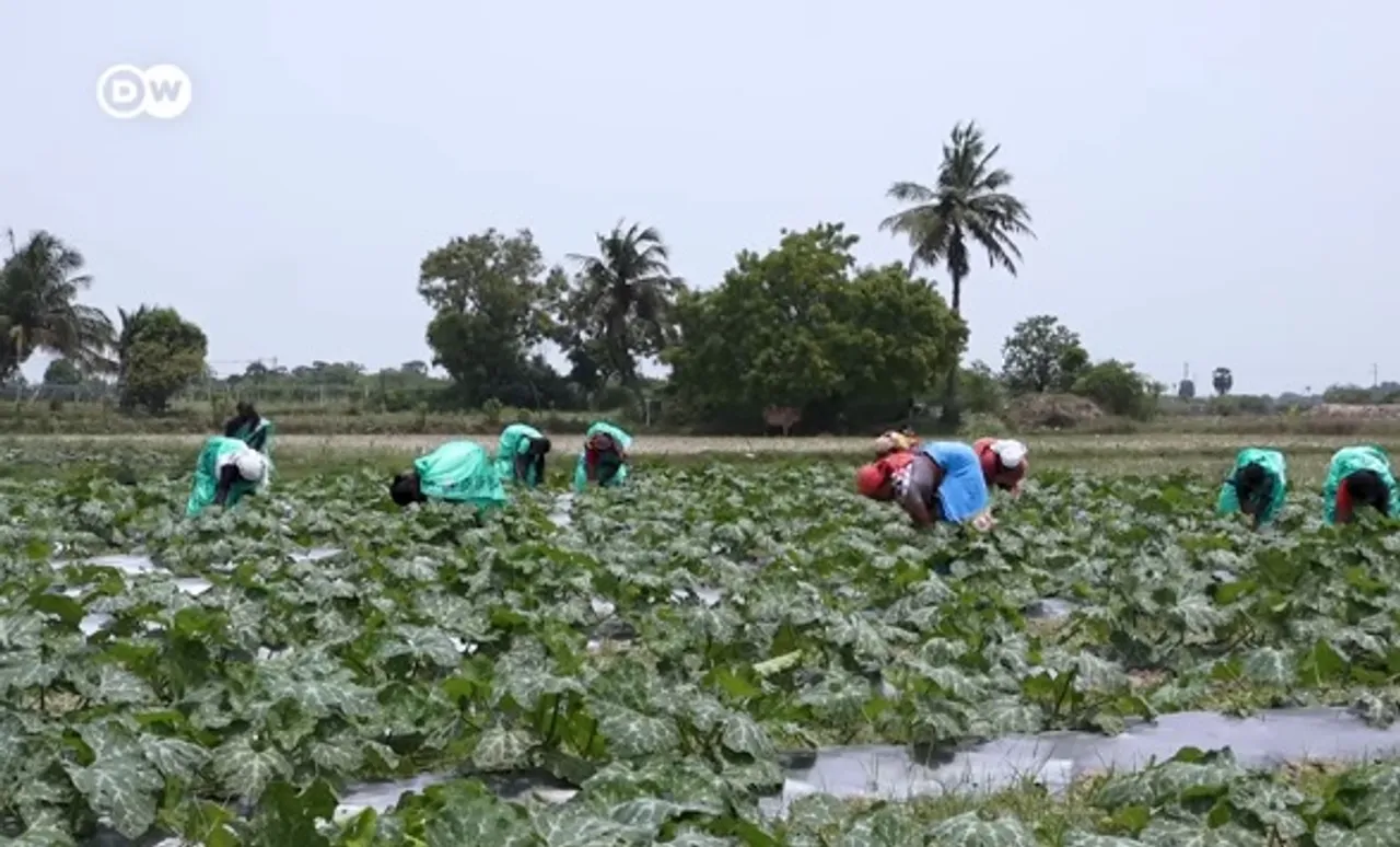 Organic farming