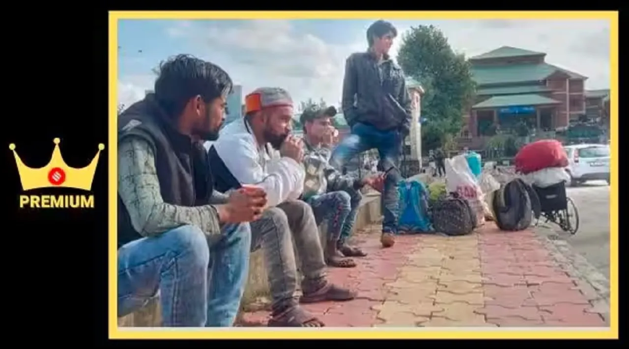Kashmir premium