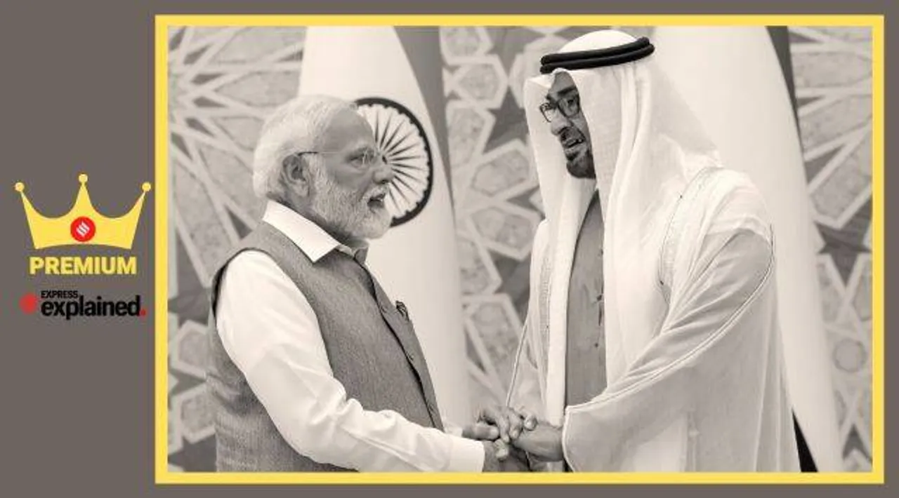 How India and UAE are planning to promote use of local currencies for cross-border transactions