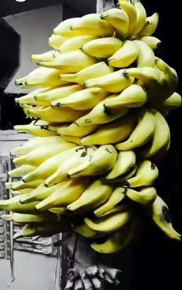 Matti banana
