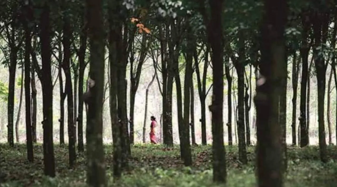Indian forest security should be part of national security, Indian forest security, இந்தியக் காடுகளின் பாதுகாப்பு, தேசியப் பாதுகாப்பின் ஒரு பகுதியாகவே இருக்க வேண்டும், தேசியப் பாதுகாப்பு, இந்தியக் காடுகள், Indian forest, national security