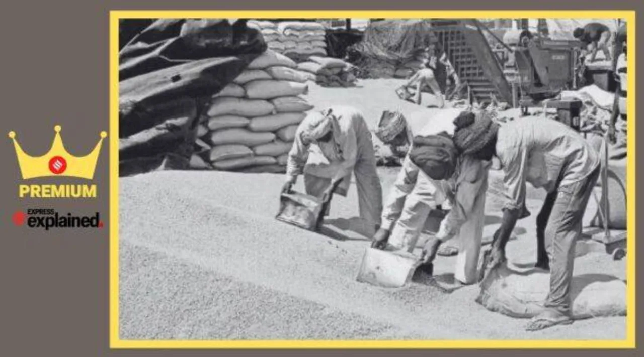 wheat production, Wheat procurement, rice production, அரசாங்கத்திடம் கொடுக்க அதிக பணம் இருக்கிறது, கோதுமை, அரிசி, அரசாங்கத்திடம் குறைவான தானியம் இருப்பது ஏன், rice prices, Explained, Indian Express Explained, Current Affairs