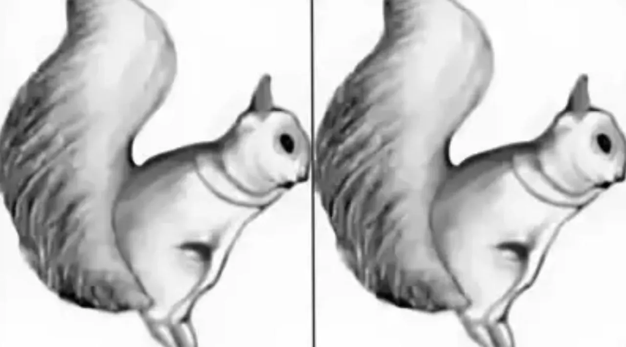 Optical Illusion, Optical Illusion Pictures, Optical Illusion Viral Picture, Optical Illusion Animal Picture, ஆப்டிகல் இல்யூஷன் படம், ஆப்டிகல் இல்யூஷன், ஆப்டிகல் இல்யூஷன் சவால், ஆப்டிகல் இல்யூஷன் புதிர், இந்த படத்தில் மறைந்திருக்கும் சிங்கத்தைக் கண்டுபிடிங்க, Optical Illusion Viral Photos, Optical Illusion Latest, about optical illusion,Optical Illusion photos, Optical Illusion pictures, Optical Illusion images