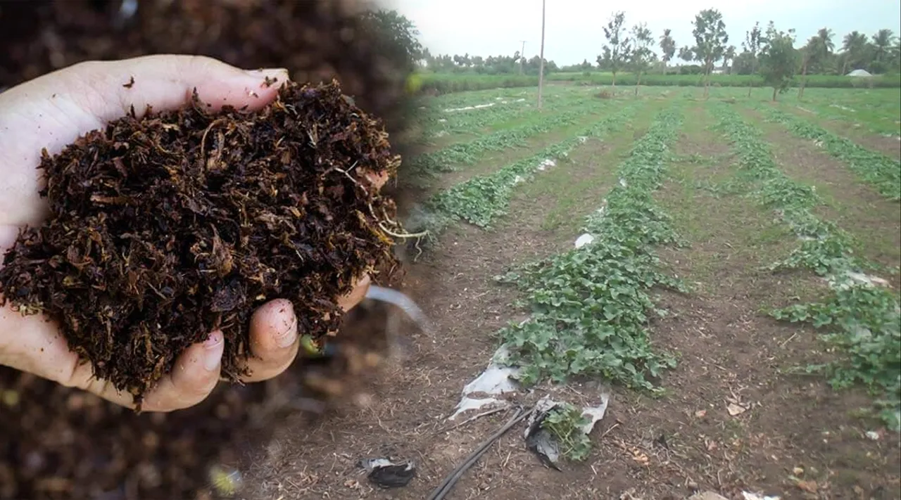 Natural fertilizer