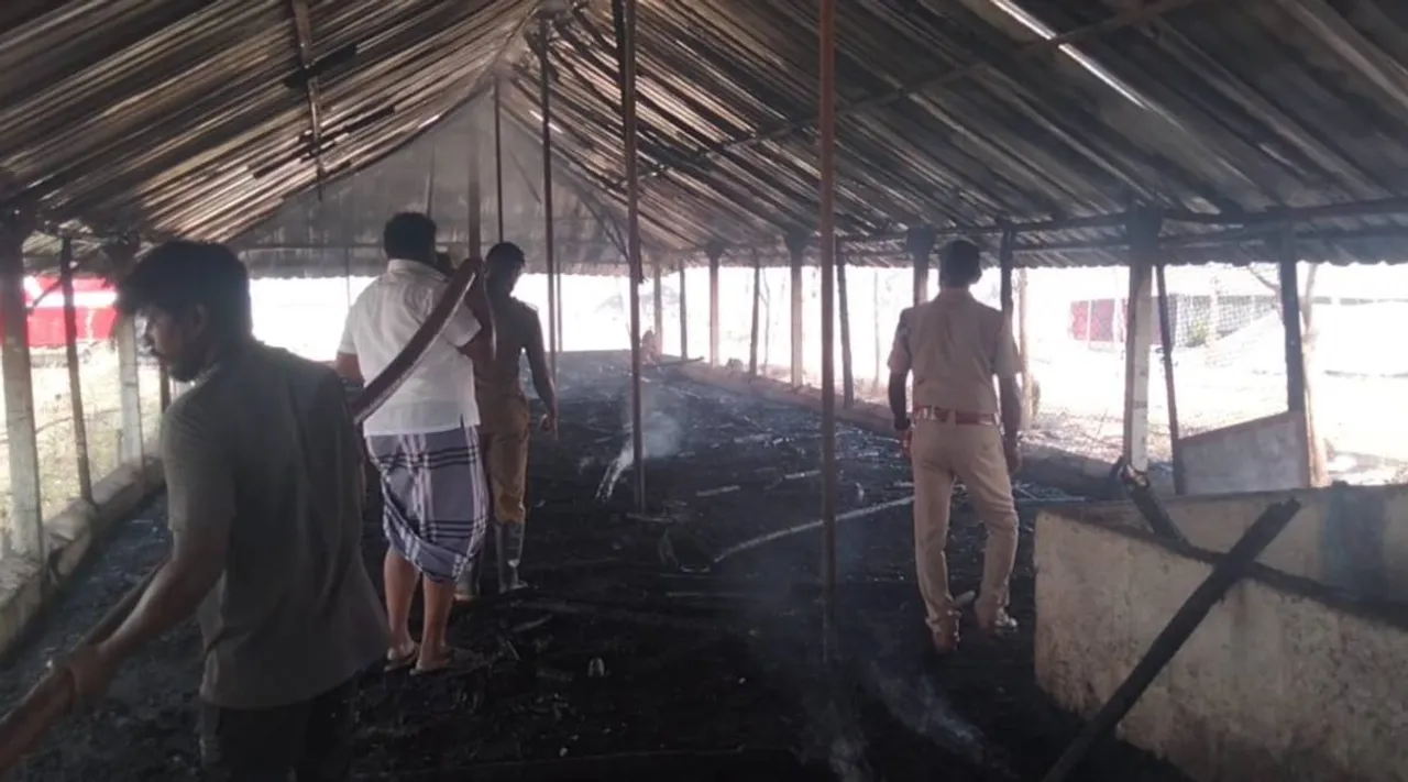 Dindigul poultry farm fire