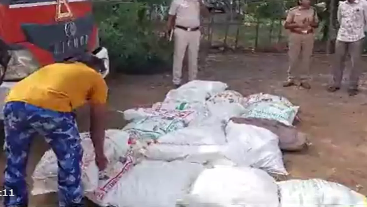 Sandalwood smugglers arrested in coimbatore