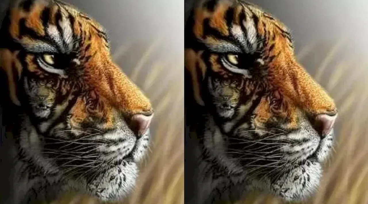 Optical Illusion, Optical Illusion Pictures, Optical Illusion Viral Picture, Optical Illusion Animal Picture, ஆப்டிகல் இல்யூஷன் படம், ஆப்டிகல் இல்யூஷன் சவால், ஆப்டிகல் இல்யூஷன், Optical Illusion Viral Photos, Optical Illusion Latest, about optical illusion,Optical Illusion photos, Optical Illusion pictures, Optical Illusion images