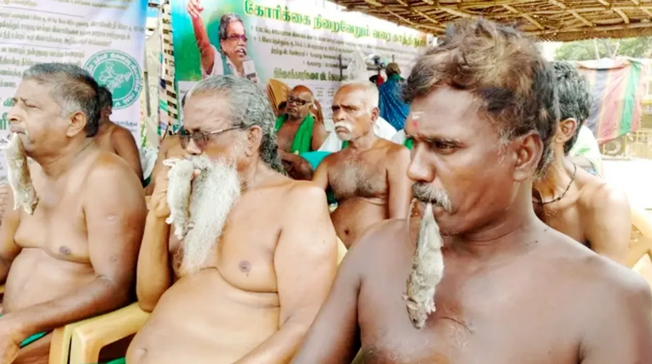 எலும்புக்கூடு-எலிகளுடன் போராட்டம்