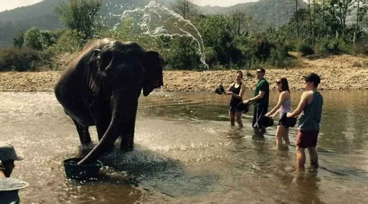 Optical Illusion: Can You Spot spot the second elephant in 4 seconds? In Tamil
