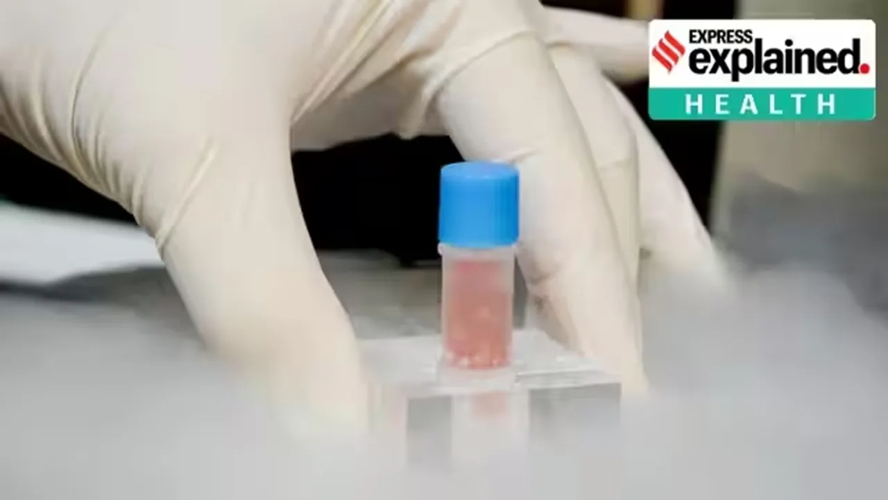 Court allows stem cell therapy for two autistic kids What is this treatment Can it be used to treat autism