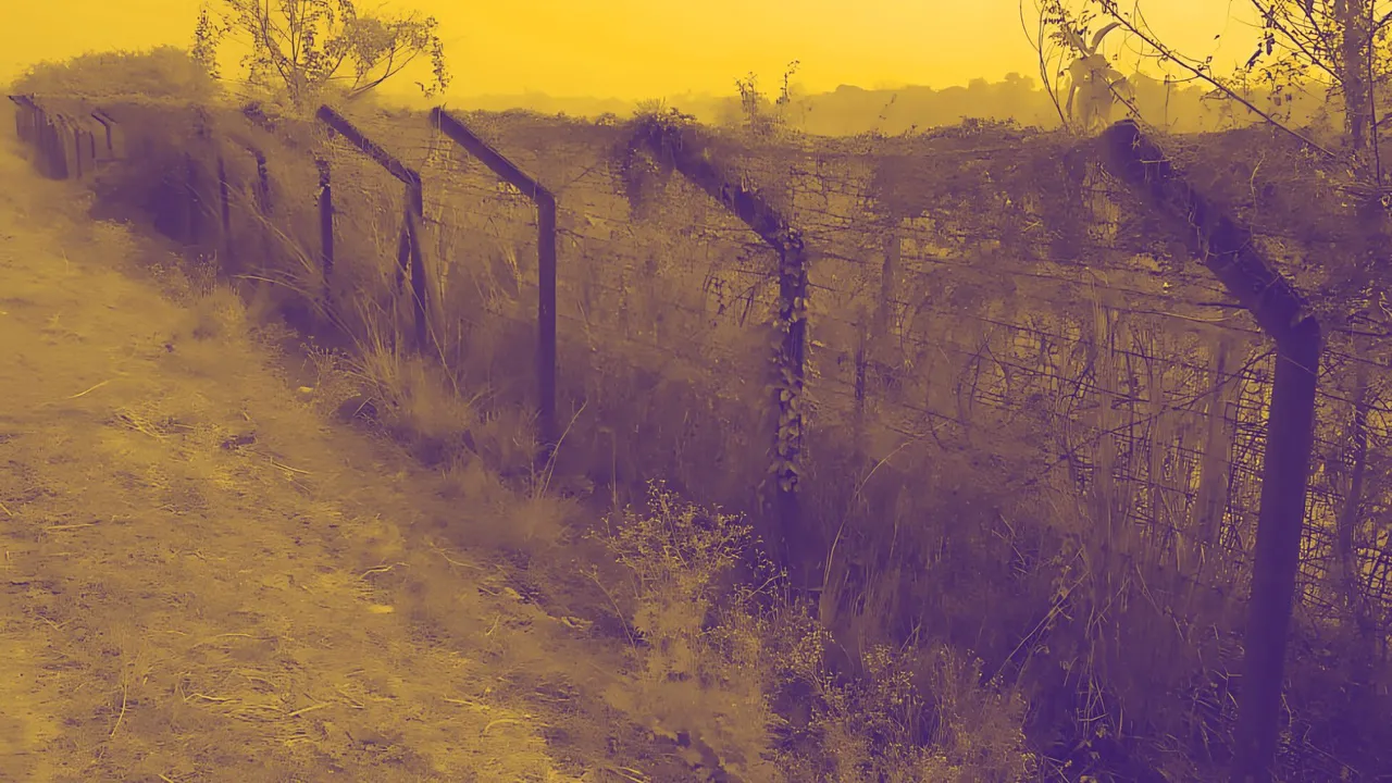 India-Bangladesh Border