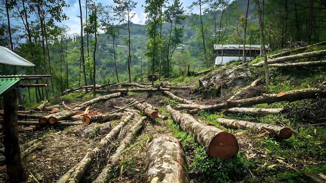 Climate Action - India's plans are falling short
