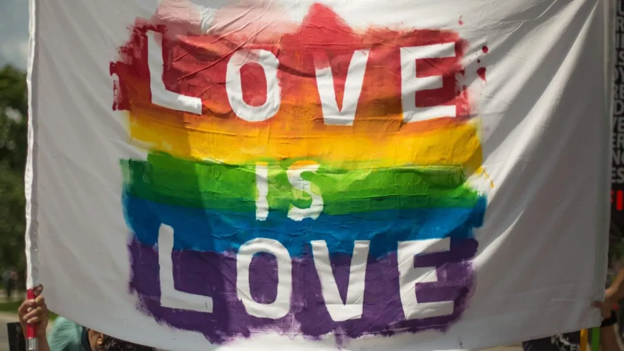 LGBTQ+ Community Gears Up For Prolonged Battle For Right To Marry And Adopt