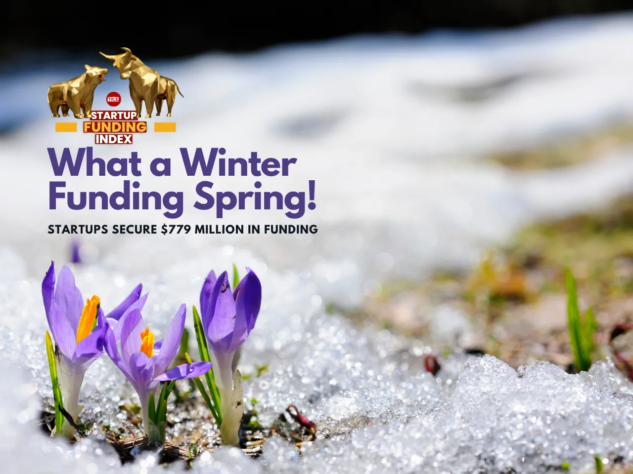 Startup Funding News 24