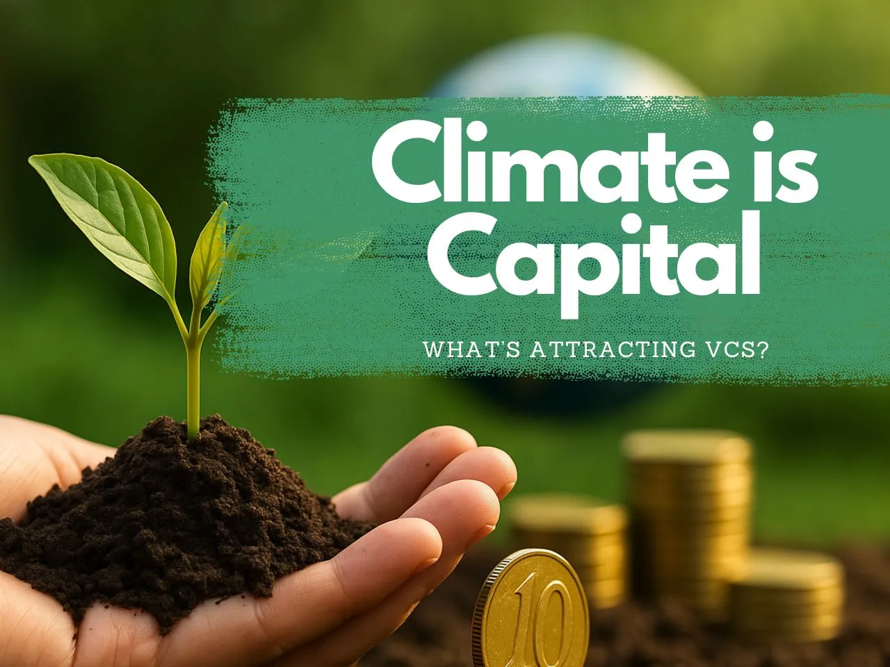 Green is the New Gold: Why VCs are Betting Big on Sustainable Startups in India