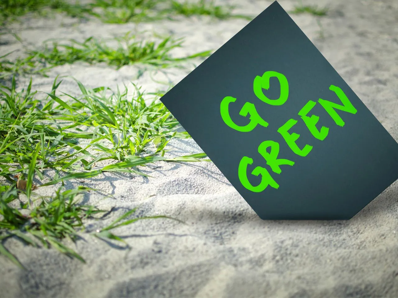 Inframantra BluSmart Mobility Go Green Initiative