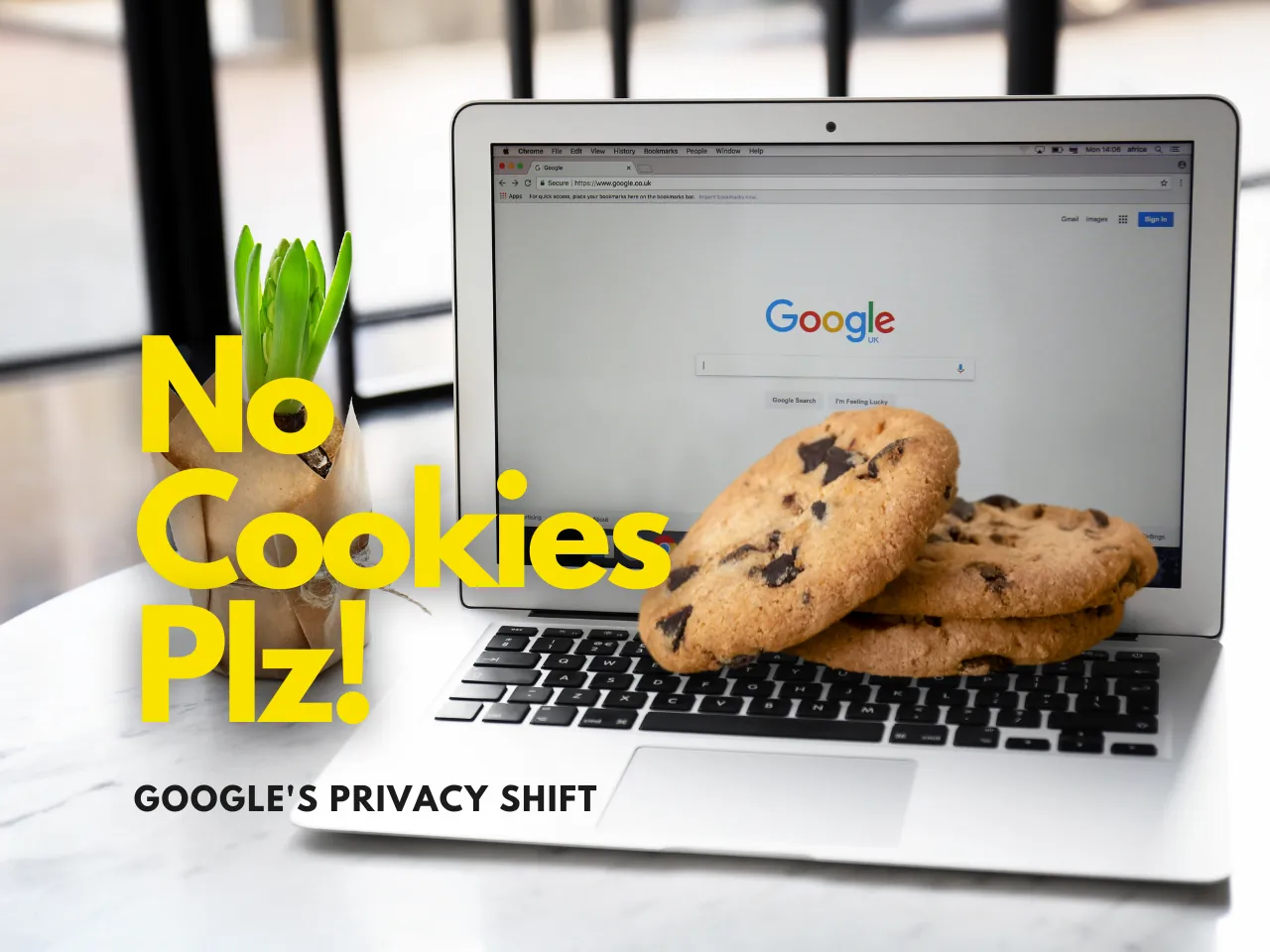 No Cookies Plz