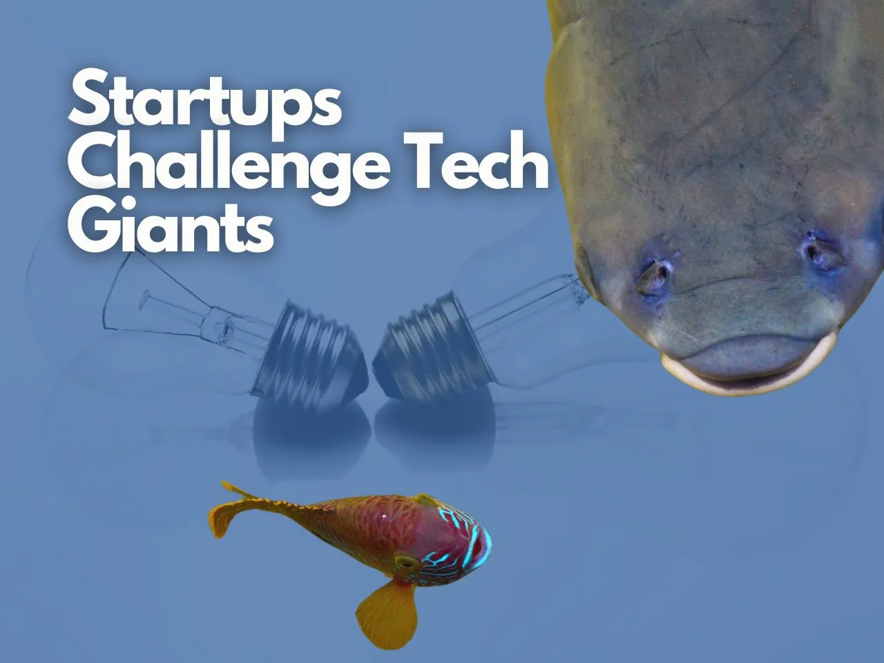 How Startups Are Taking on Tech Giants with Fresh Funding?