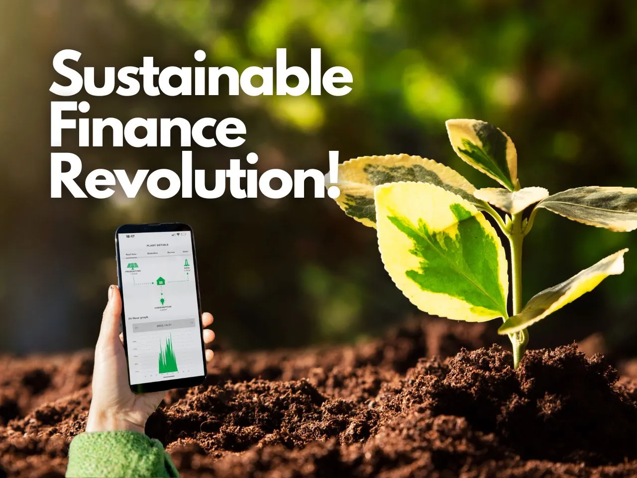 Sustainability Influences Financial Due Diligence Process