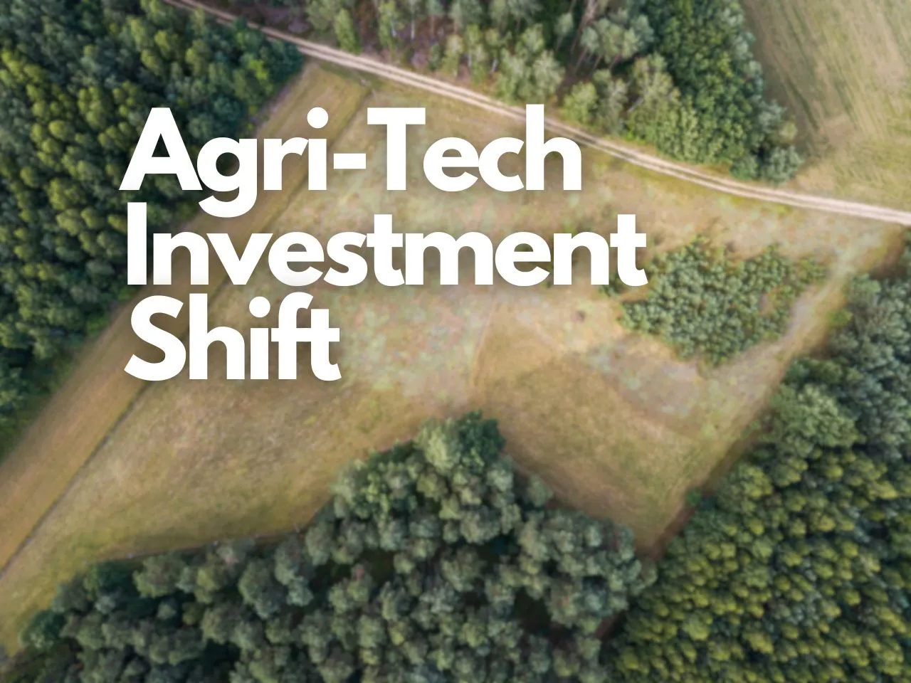 FSG Report Investment Trends Emerging Themes inIndia Agricultural Technology Sector
